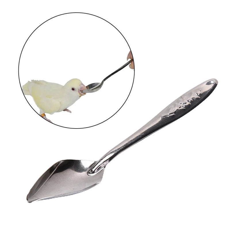 Feeding Syringe for Parrots and Birds – Plastic, 10ml or 20ml
