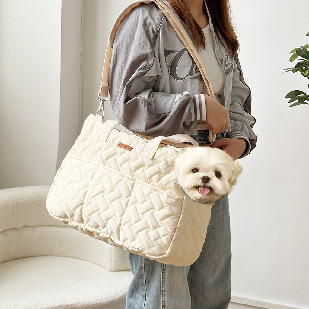 Modern carrier bag for cats and small dogs – lightweight, breathable, canvas