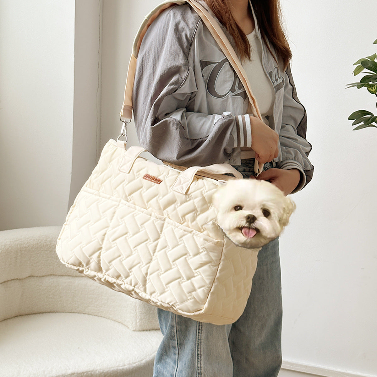 Modern carrier bag for cats and small dogs – lightweight, breathable, canvas