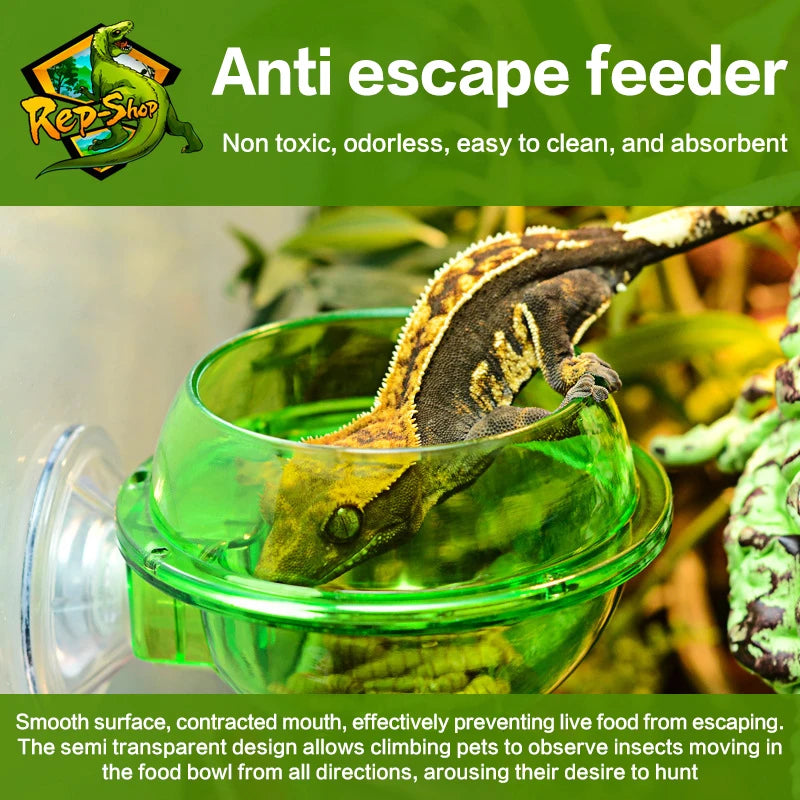 Arboreal Reptile Live Anti-escape Sucker Feeder Bowl Insect Worm Food Container For Lizard Gecko Chameleon Reptile Pet Bowl