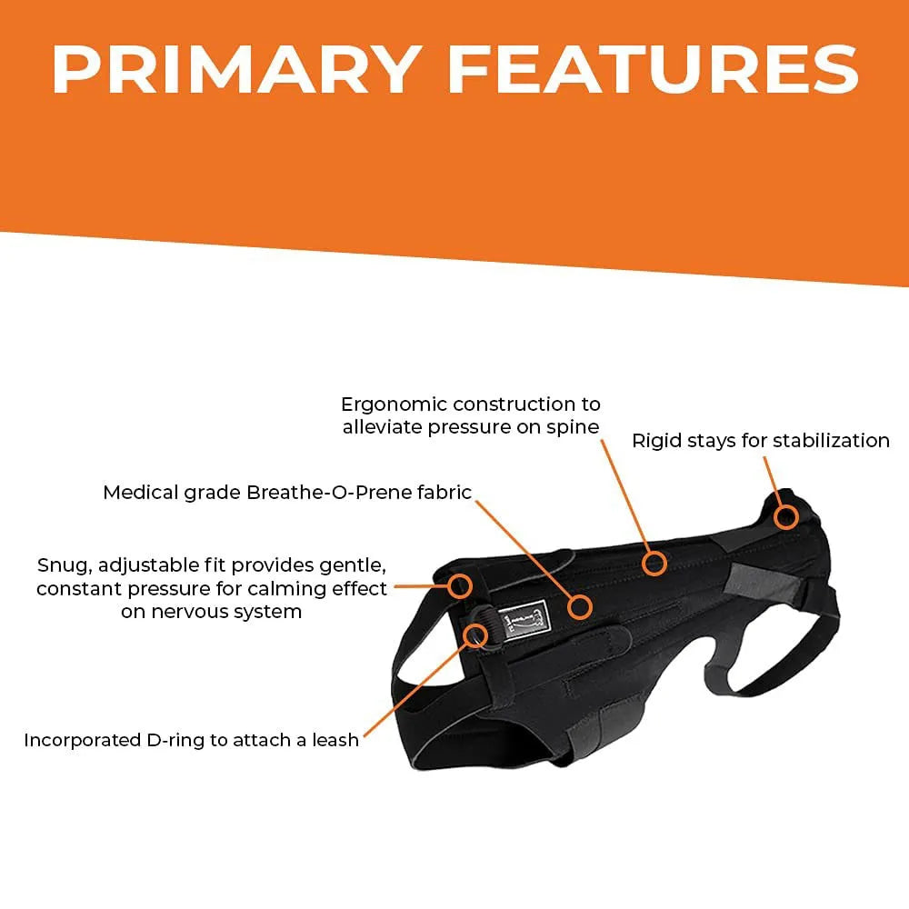 Breathable Dog Back Brace Comfortable Pet Back Bracer For IVDD Back Protector Helps Injury Recovery And Rehabilitation S/M/L