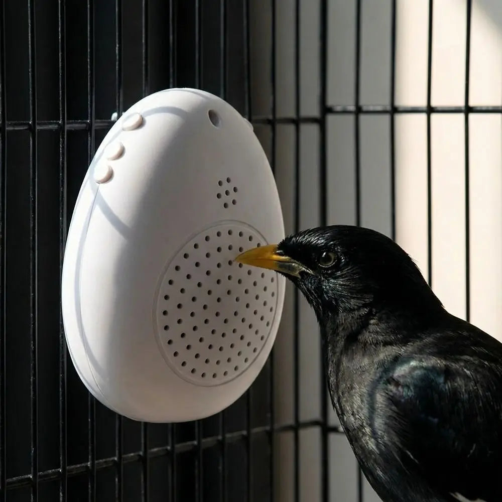 Parrot Speech Learning Machine – Recording, Timer, Interactive