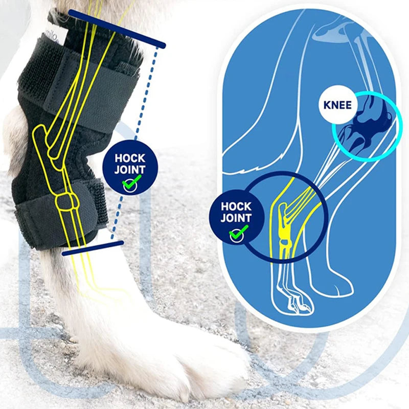 Protector Support Protective Bandage Pet Knee Pads Dogs Injury Recovery for Leg Hock Joint Wrap Breathable Injury Recovery Legs Dog
