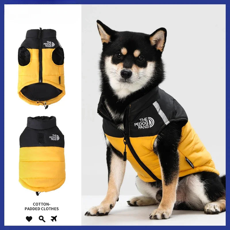Winter dog jacket – padded, warm, with reflectors