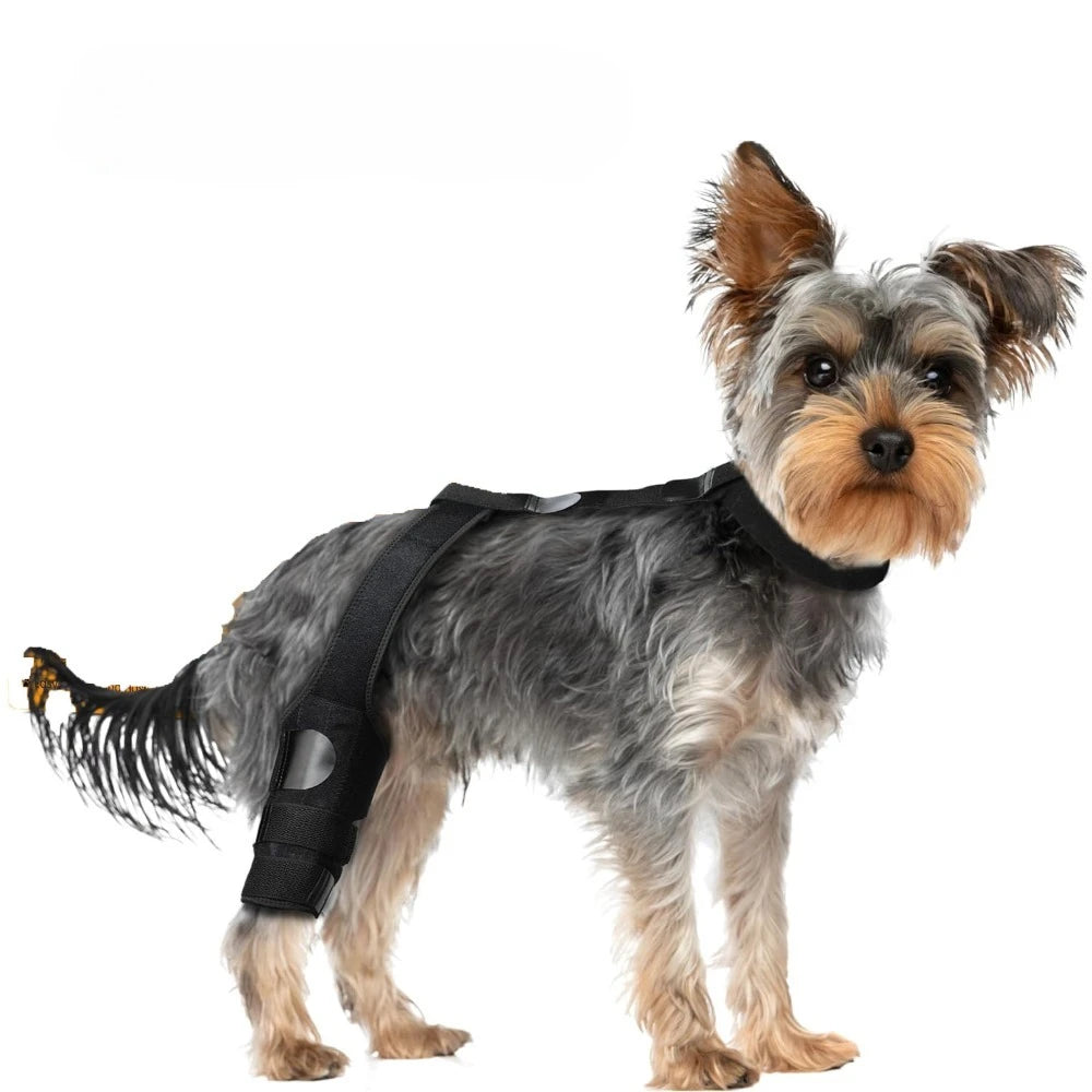 Dog Knee Brace Supports,Better Leg ACL Recovery for dogs,Breathable Pet Braces After Injury Surgery