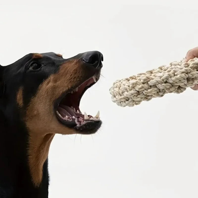 Rope dog toy – durable, bite-resistant