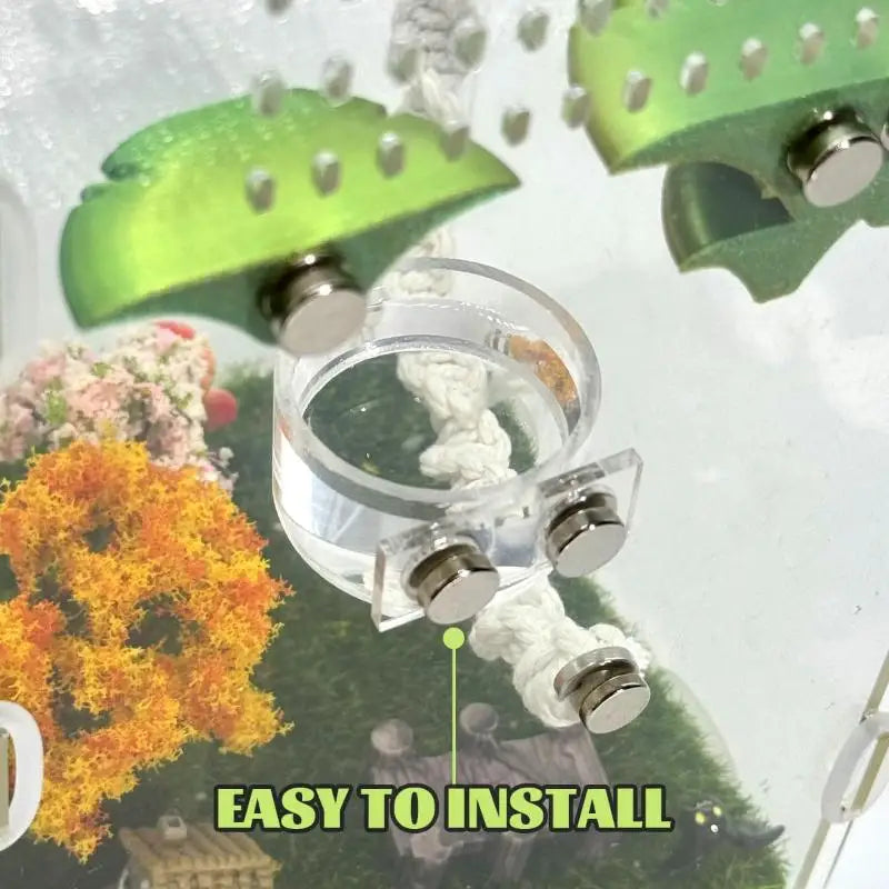 Reptile Insect Feeding Dish Set Mini Magnetic Food Water Bowl With Feeding Clip For Spider Mantis Cricket Enclosure Accessories