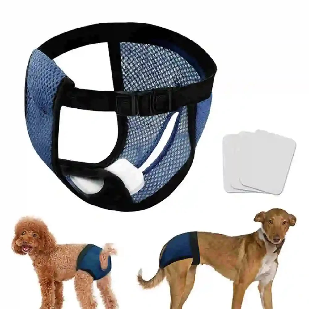 Reusable Washable Dog Diapers Female Heat Period Pants Dog Leak Proof Hygiene Kecks Panties with 3 Pads for Small Large Dogs