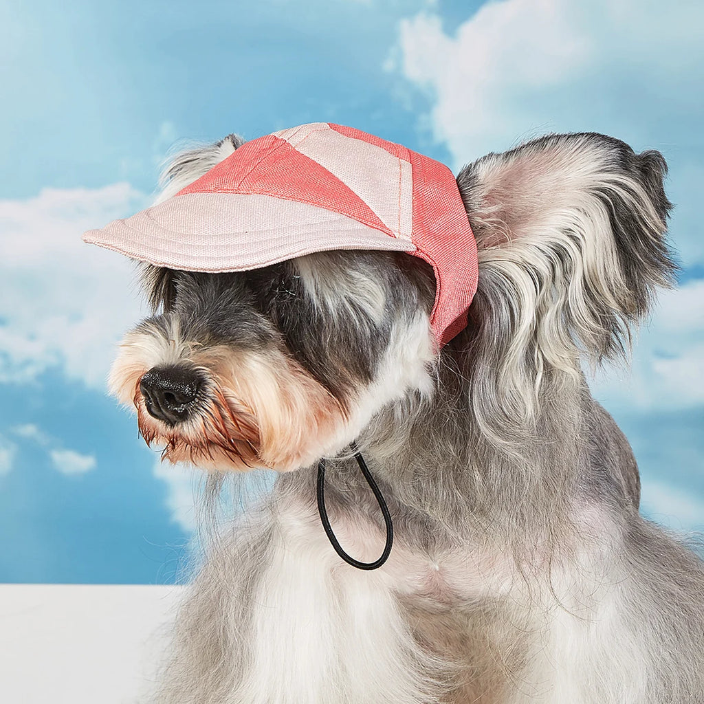 Dog Hat Sun Protection Summer Travel for Small and Medium Dogs, Hats for Chihuahua and French Bulldog