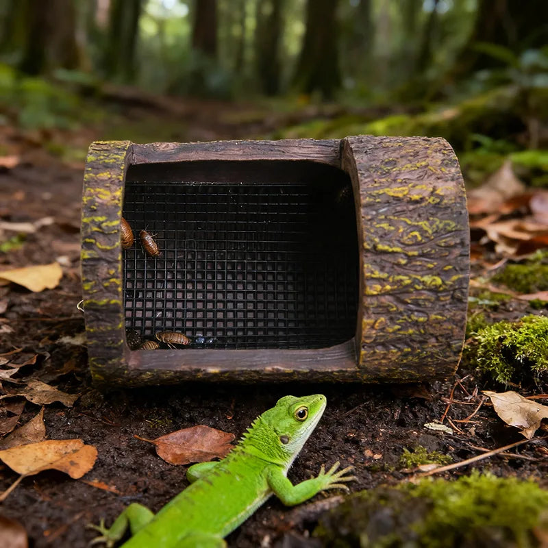 Reptile Feeder – Container for Insects, Terrarium, Lizards, and Chameleons