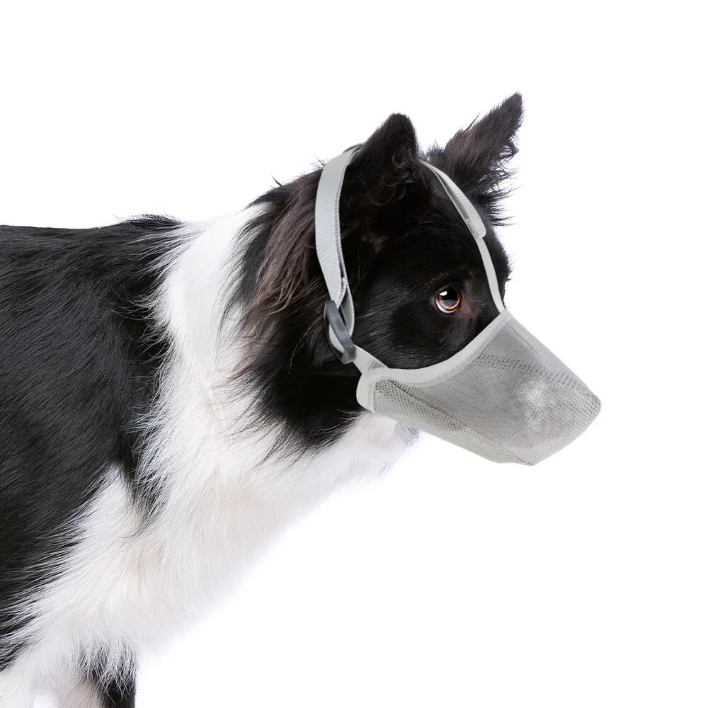 Dog Muzzle, Soft Mesh Covered Muzzles Poisoned Bait Protection with Adjustable Straps, Prevent Biting, Chewing, and Licking