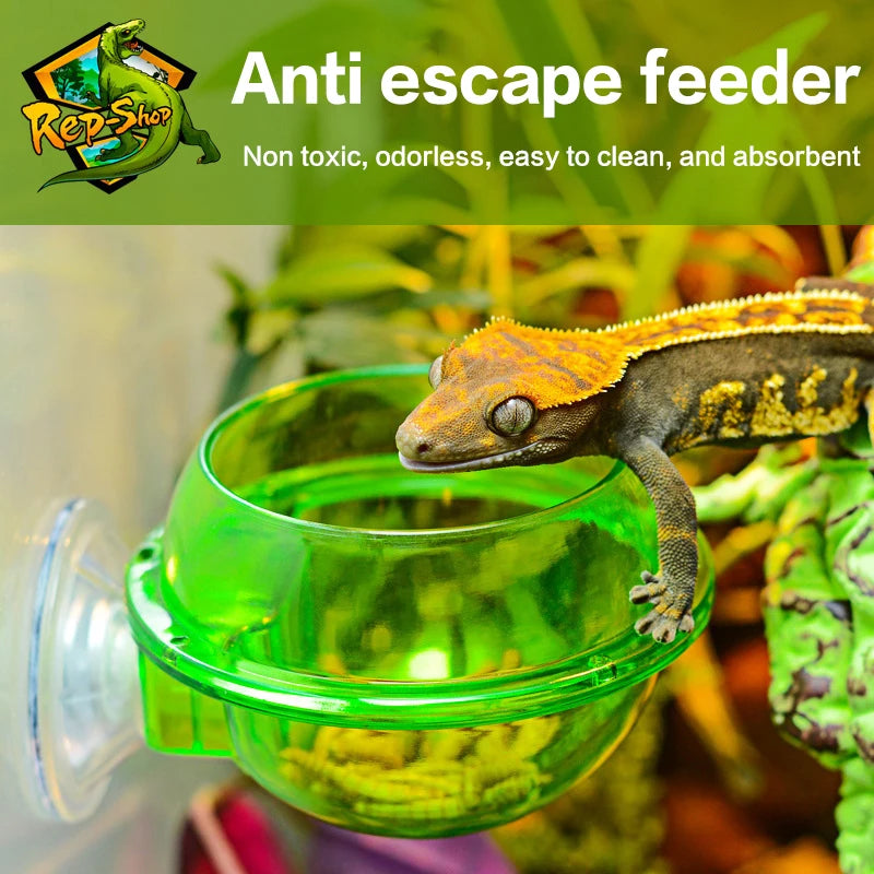 Arboreal Reptile Live Anti-escape Sucker Feeder Bowl Insect Worm Food Container For Lizard Gecko Chameleon Reptile Pet Bowl