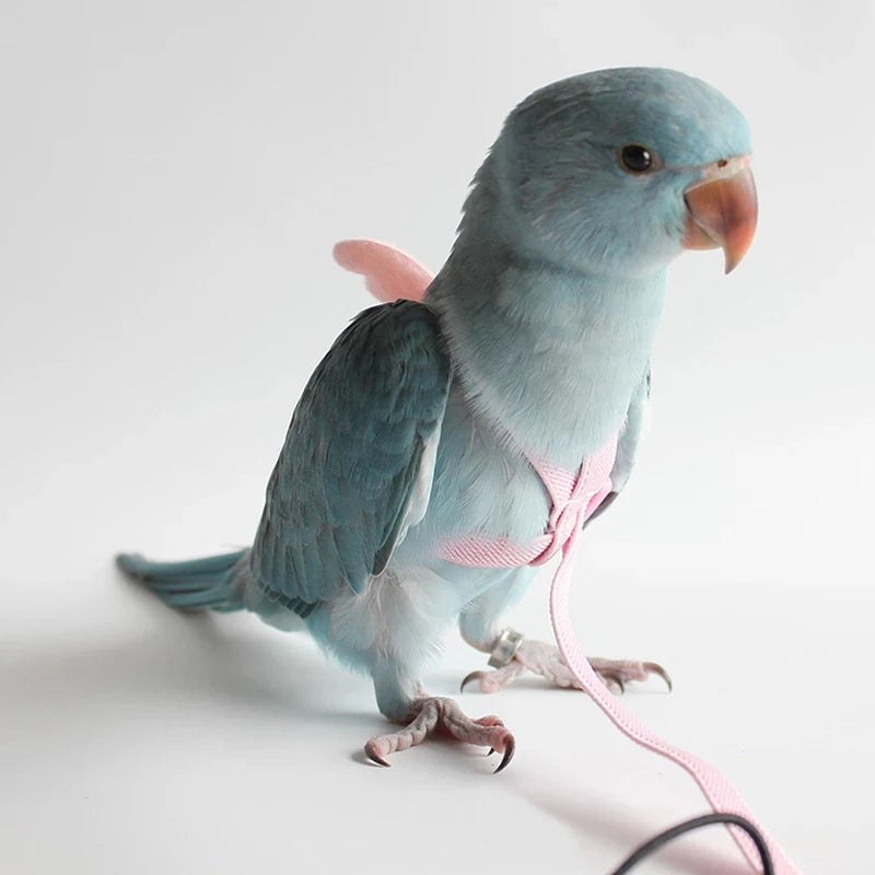 Parrot Flight Training Leash - Elastic, 200 cm, 7 colors