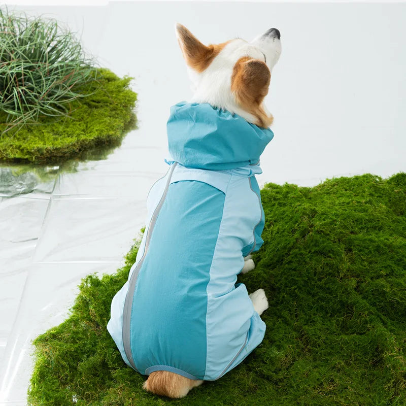 2026 New Full Coverage Waterproof Colorblock Four-Legged Dog Raincoat for Corgi, Dachshund, Small and Medium Dogs Outdoor Wear