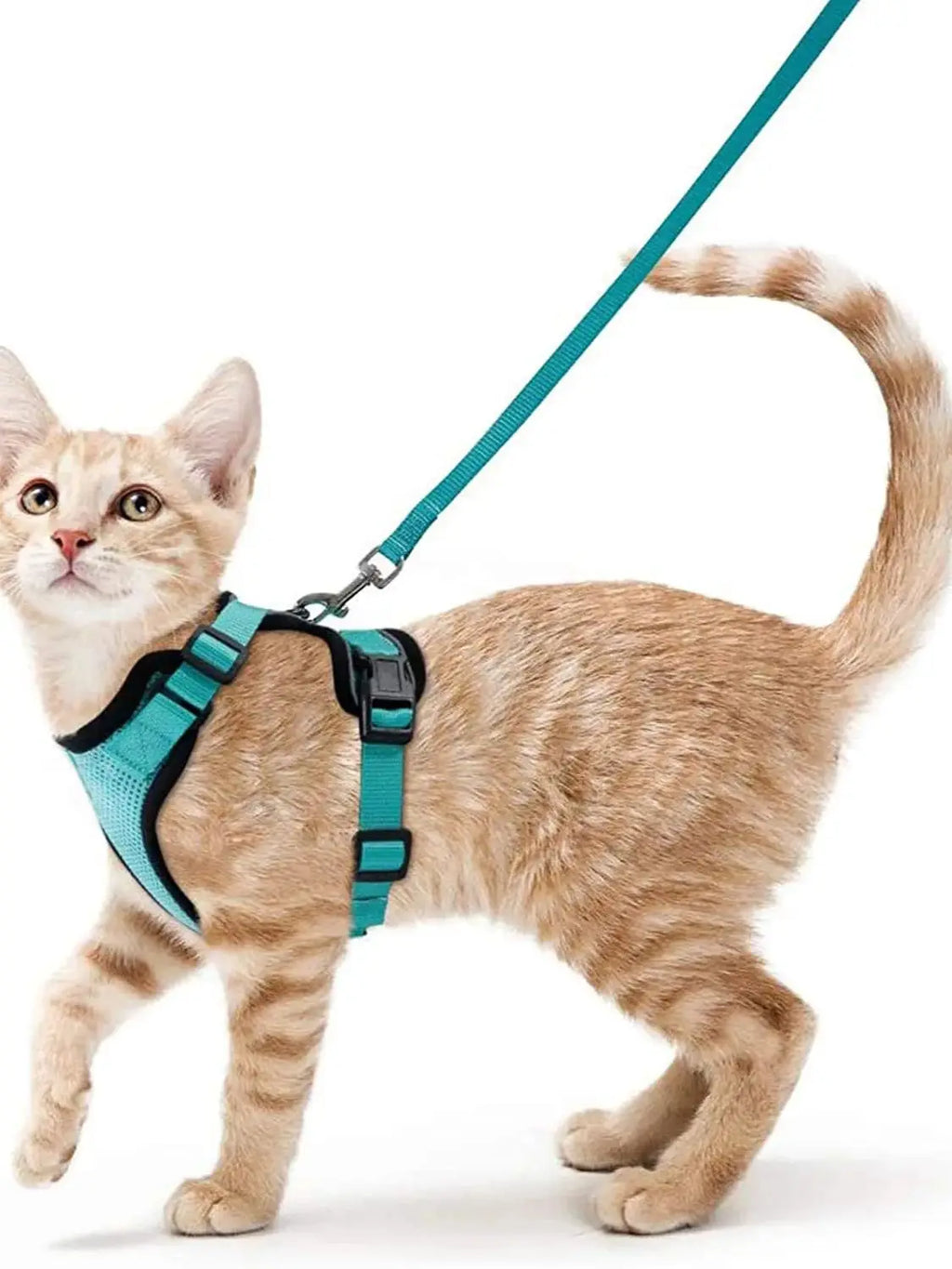 Cat Harness and Leash – soft, adjustable, escape-proof