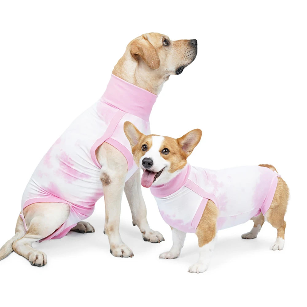 Post-operative suit for dogs – wound protection after surgery
