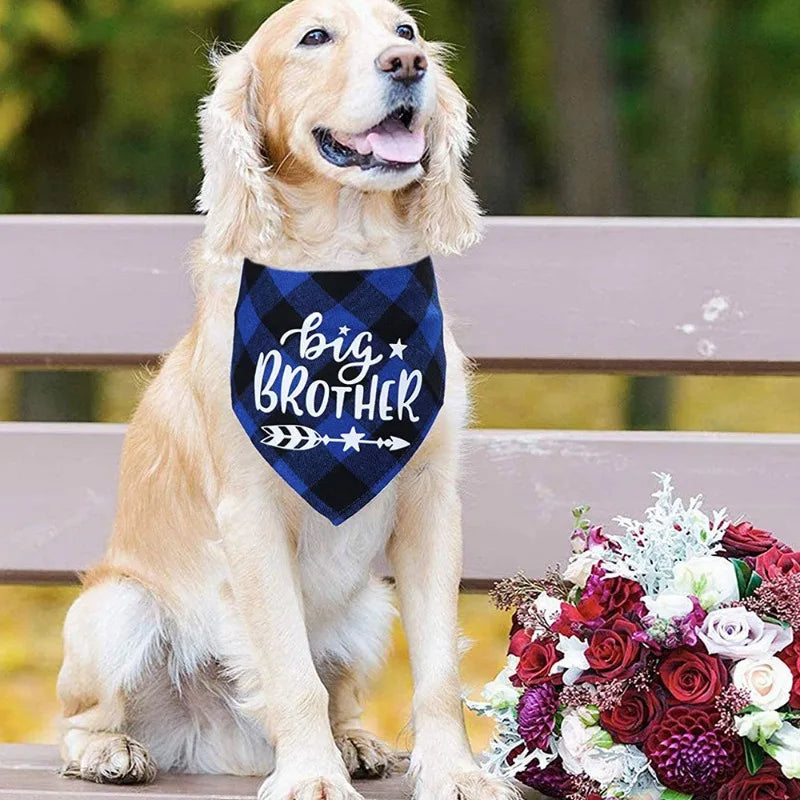 Big Brother Plaid Dog Bandana Pregnancy Announcement Dog Bandana Gender Reveal Photo Prop Pet Scarf Accessories Pet Scarves
