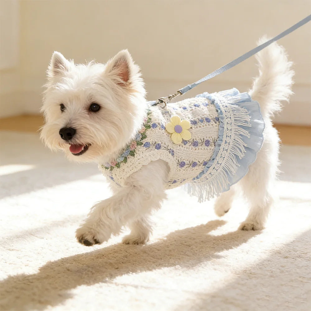 Pet Embroidered Dress Small & Medium Dog Teddy Hollowed-out Vest Puppy Clothes Summer Cat Tassel Dress Spring Pet Clothing