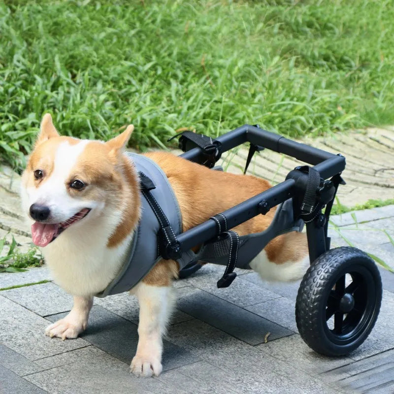 Professional Mobility Aid For Large Pet Breeds, Rehabilitation Cart With Walking Support | Enables Exercise & Daily Assistance