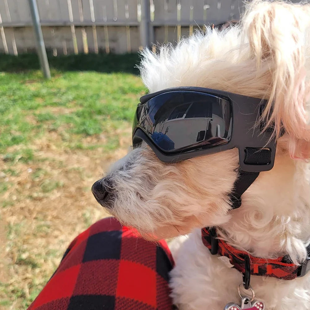Protective Goggles for Dogs, Cat Sunglasses, Outdoor UV Protection Sunglasses for Small and Medium Dogs, Puppy Glasses, Pet Accessories