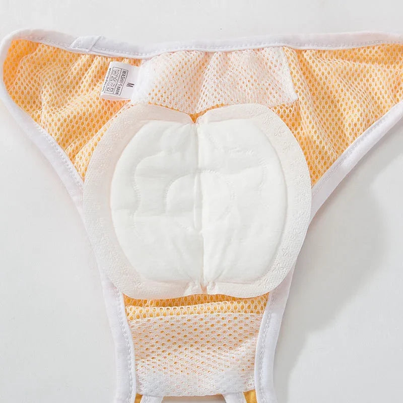 30pcs Dog Diapers for Female Dogs Shorts Panties Dog Diaper Pad Female Sanitary Pants Disposable Doggie Physiological Pants