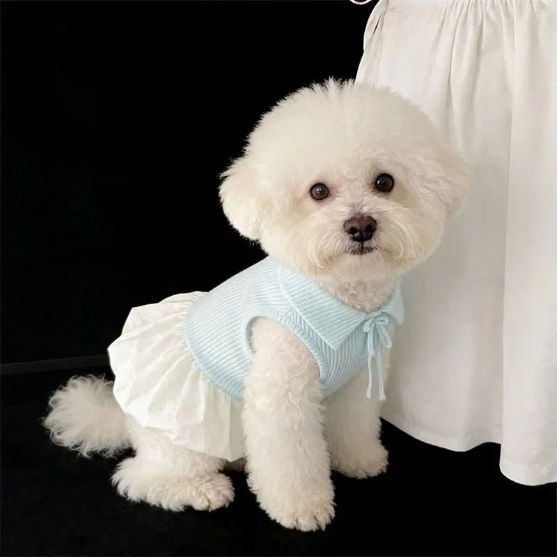Polo Shirt Bow Dress Pet Dog Clothes Suspender Skirt Clothing Dogs Super Small Cute Chihuahua Print Summer Blue Girl Mascotas