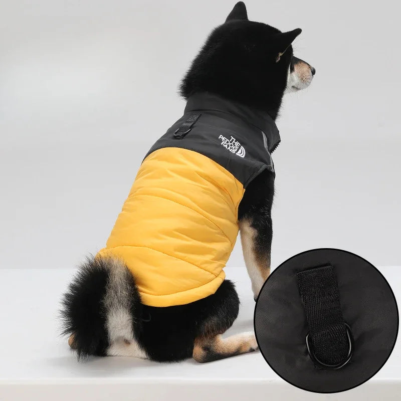 Winter dog jacket – padded, warm, with reflectors