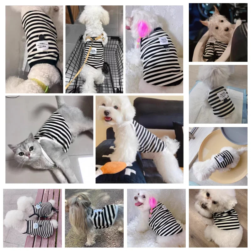 Summer vest for dogs – striped cotton vest, suspenders