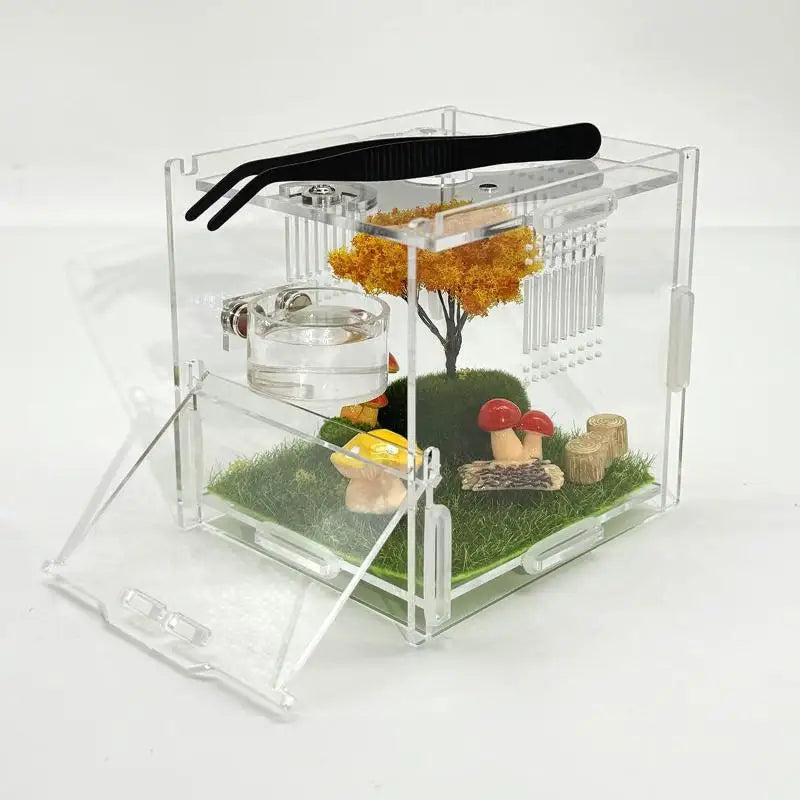 Reptile Insect Feeding Dish Set Mini Magnetic Food Water Bowl With Feeding Clip For Spider Mantis Cricket Enclosure Accessories