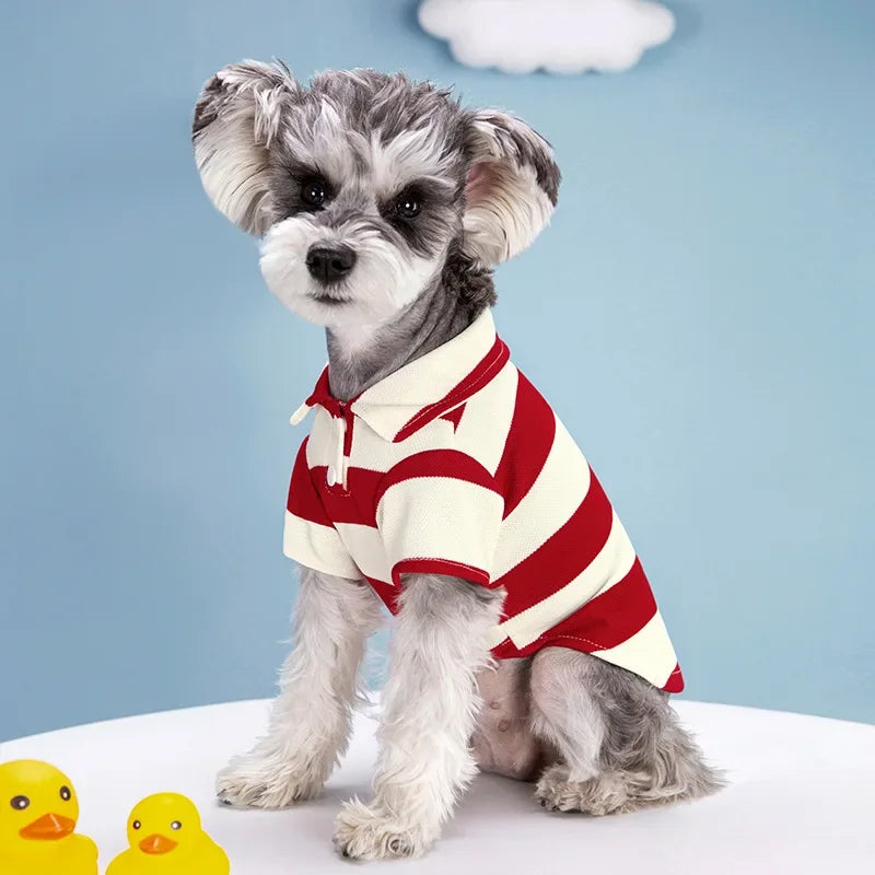Polo T-shirt for Dogs and Cats – Fashionable T-shirt for Small and Medium Pets