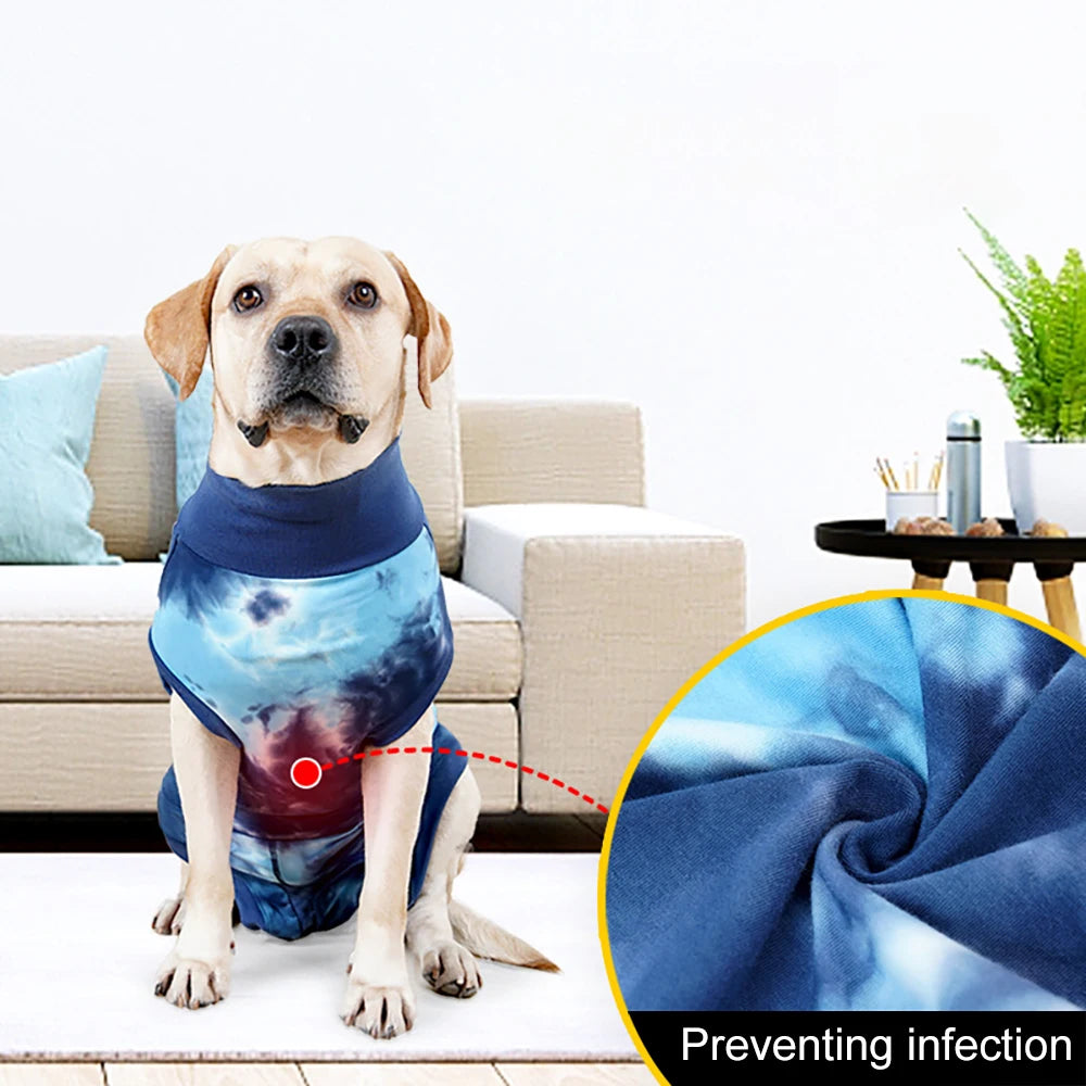 Post-operative suit for dogs – wound protection after surgery
