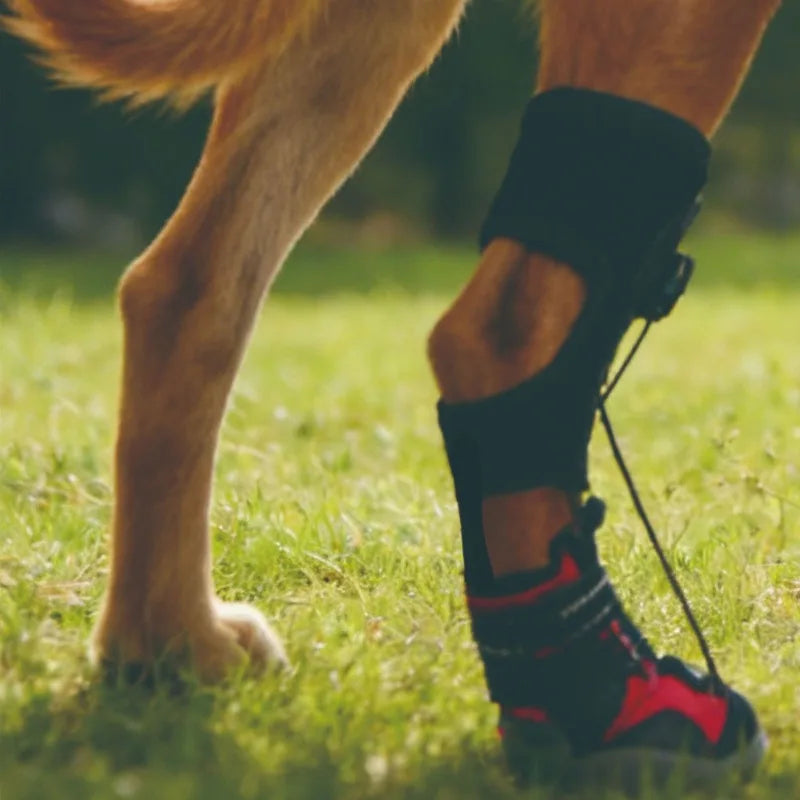 Dog Shoes Dirt-Proof Anti-Drop Wear-Resistant Hard Sole Breathable Foot Protection Puppy Boots Injured Dog Joint Fixation