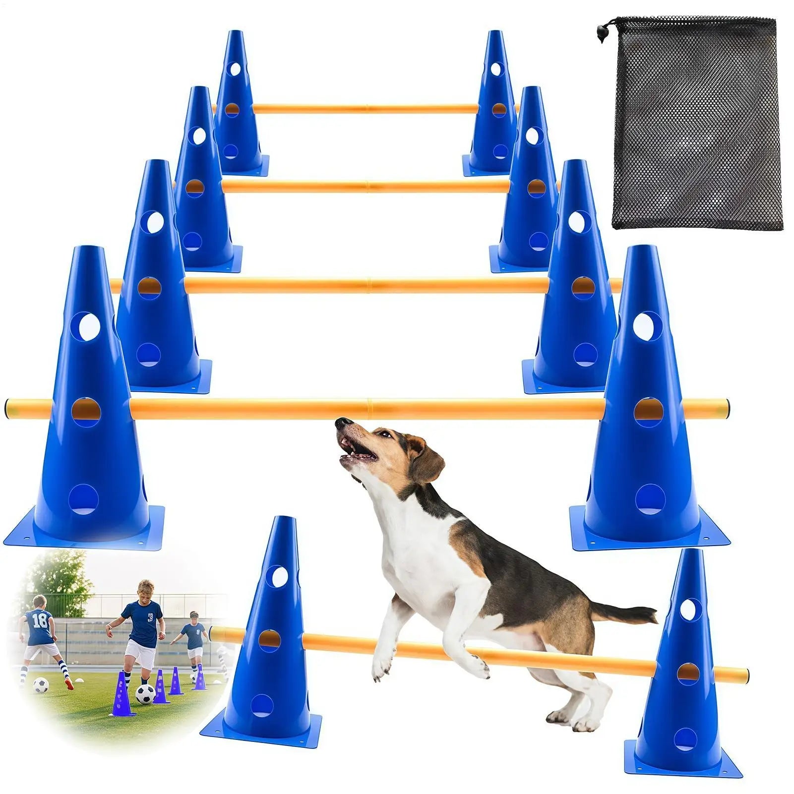 Set za agility trening pasa – čunjevi i prepone