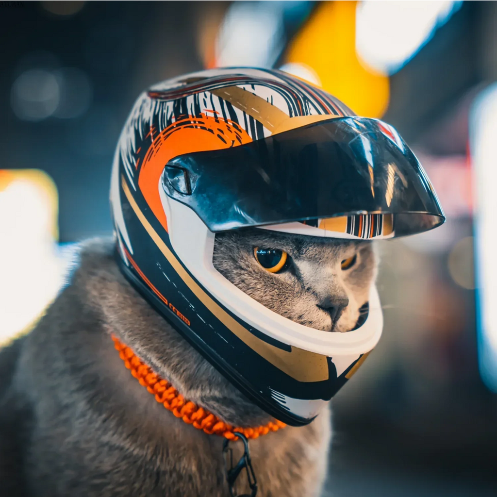 Pet Helmets, Cat Helmet, Dog Helmet - Outdoor Mini Head Protection Safe Hat, Pet Photo Props Accessory, Mini Motorcycle Helmet