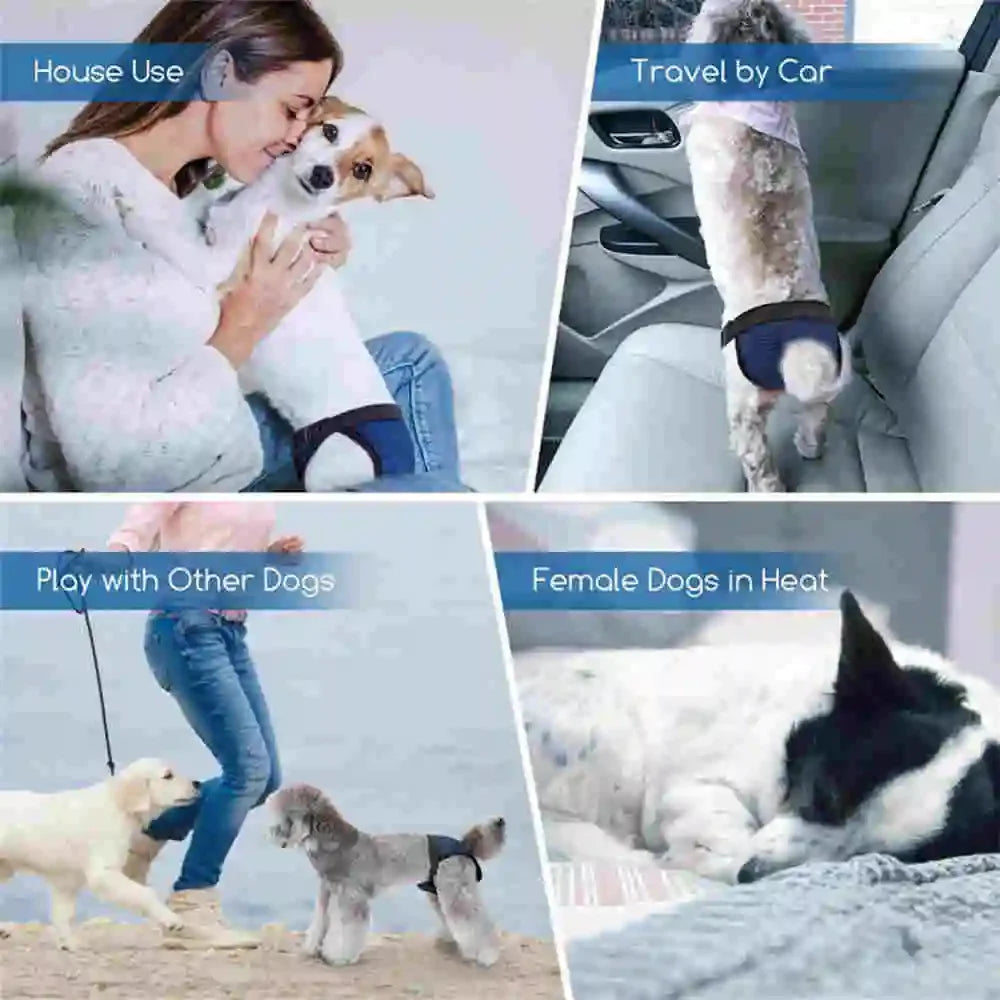 Reusable Washable Dog Diapers Female Heat Period Pants Dog Leak Proof Hygiene Kecks Panties with 3 Pads for Small Large Dogs