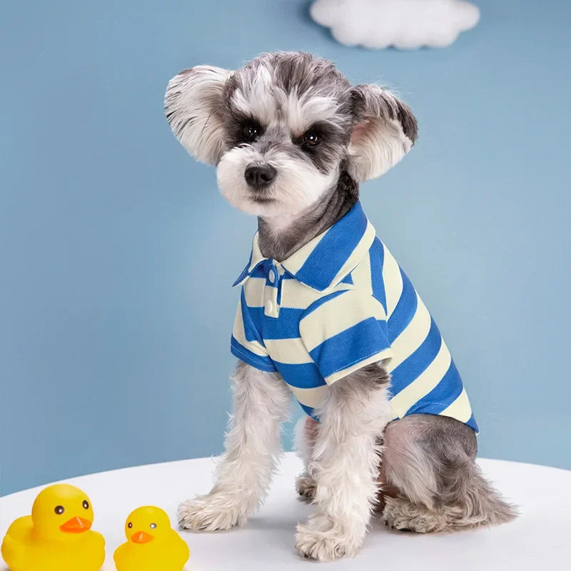 Polo T-shirt for Dogs and Cats – Fashionable T-shirt for Small and Medium Pets