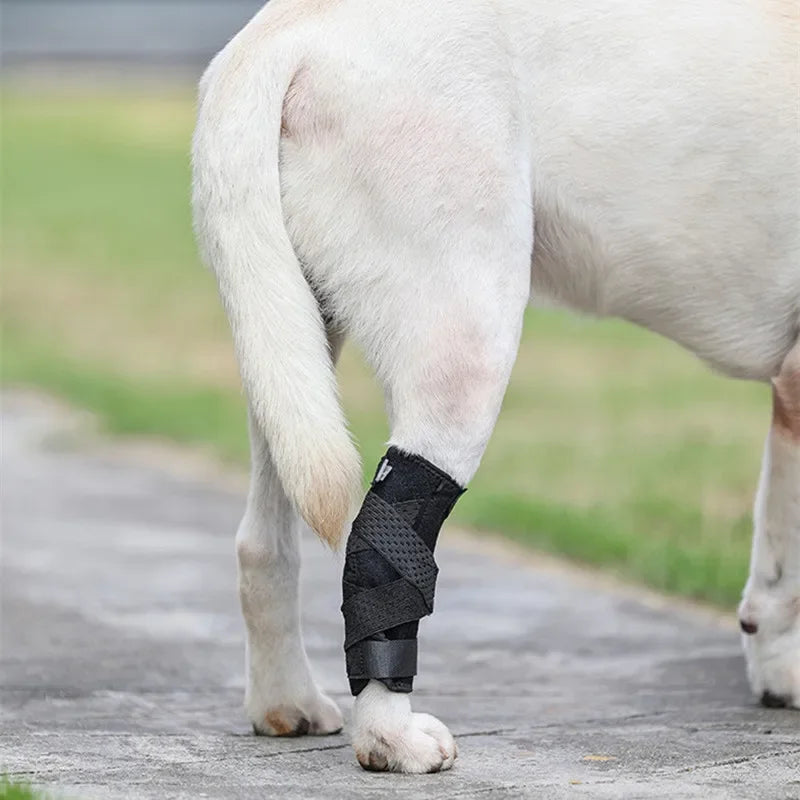Updated Protective Bandage Dog Arthritis Protector Cover Dog Leg Support Dogs Hock Joint Brace Pet Knee Pads Dogs Injury Recovery