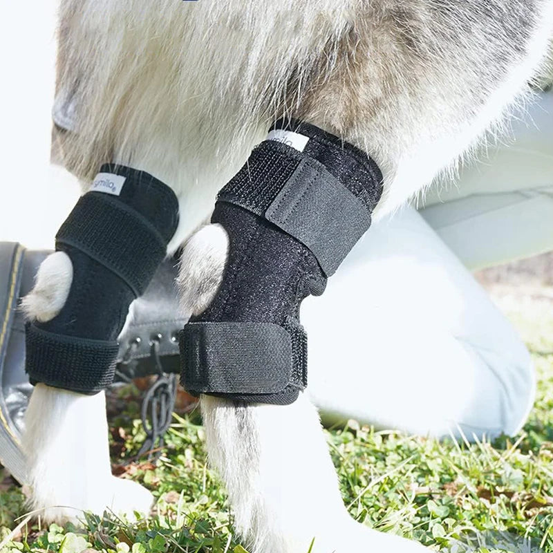 Protector Support Protective Bandage Pet Knee Pads Dogs Injury Recovery for Leg Hock Joint Wrap Breathable Injury Recovery Legs Dog