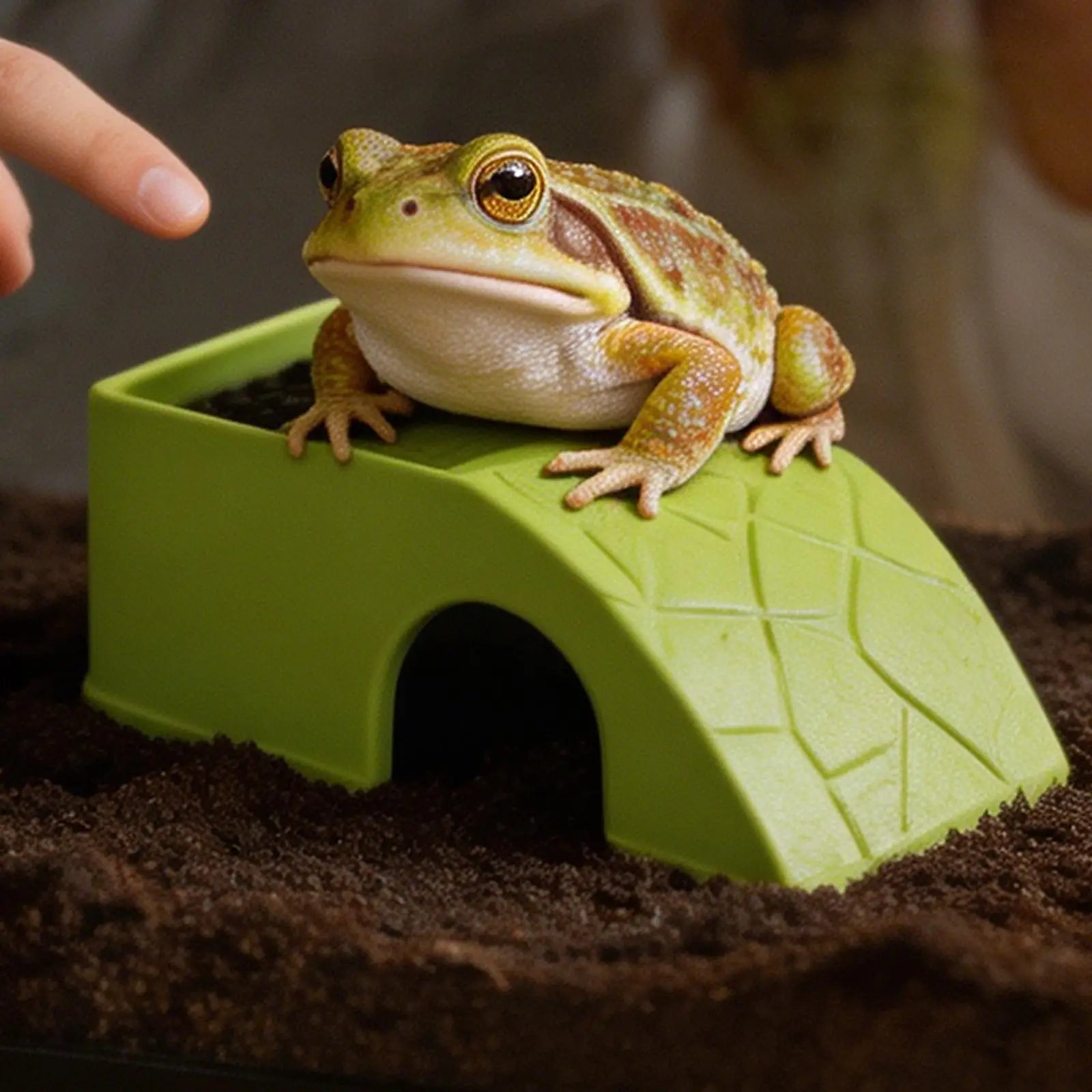 Reptile Feeding Dish 2-in-1 Food & Water Bowl with Shelter Non-Spill Resin Ornament for Bearded Dragon, Turtles Geckos Chameleon