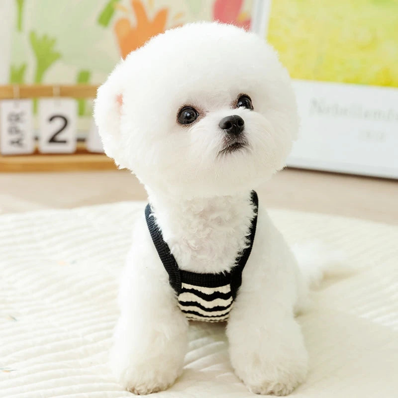Summer vest for dogs – striped cotton vest, suspenders