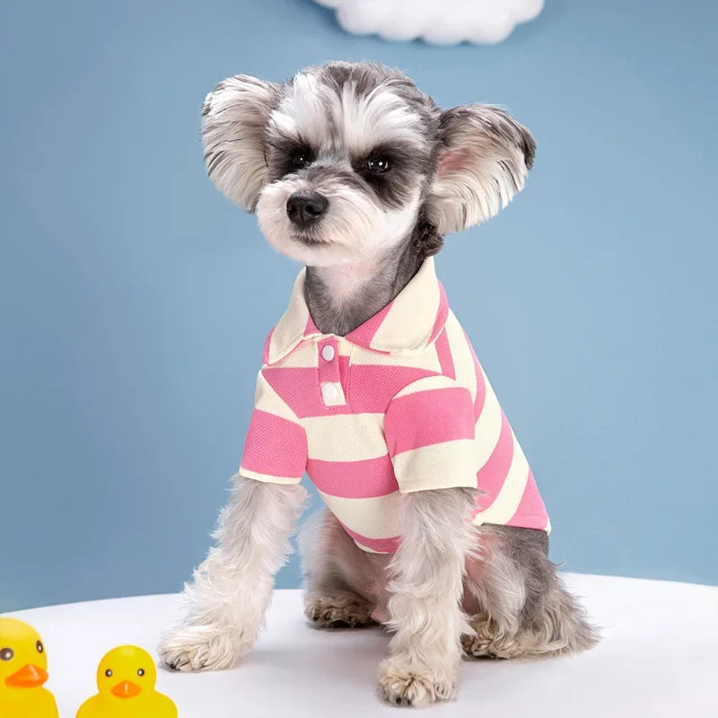 Polo T-shirt for Dogs and Cats – Fashionable T-shirt for Small and Medium Pets