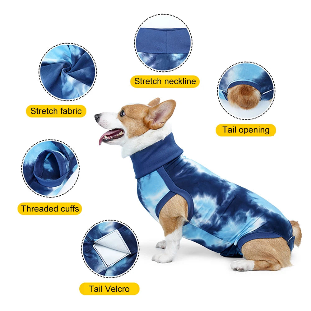 Post-operative suit for dogs – wound protection after surgery