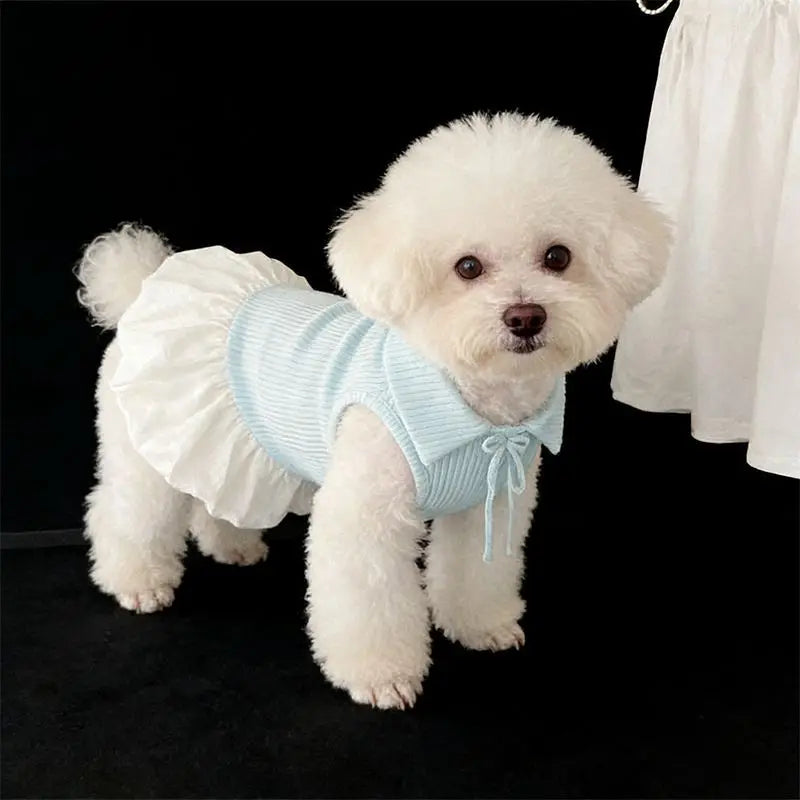 Polo Shirt Bow Dress Pet Dog Clothes Suspender Skirt Clothing Dogs Super Small Cute Chihuahua Print Summer Blue Girl Mascotas