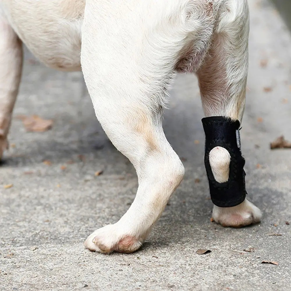 Protective Case Joint Recovery Bandage for Small, Medium, Large Dogs Dog Leg Brace Dog Leg Wrap Dog Support Brace Pet Knee Pads