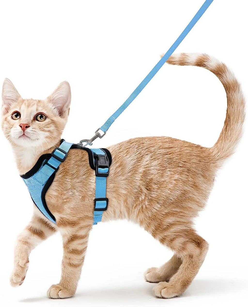 Cat Harness and Leash for Walking, Escape-Proof Soft Adjustable Vest Harnesses for Cats, EasyControl