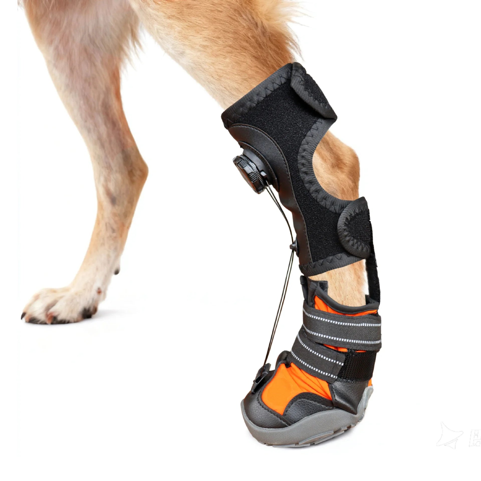 Dog Shoes Dirt-Proof Anti-Drop Wear-Resistant Hard Sole Breathable Foot Protection Puppy Boots Injured Dog Joint Fixation