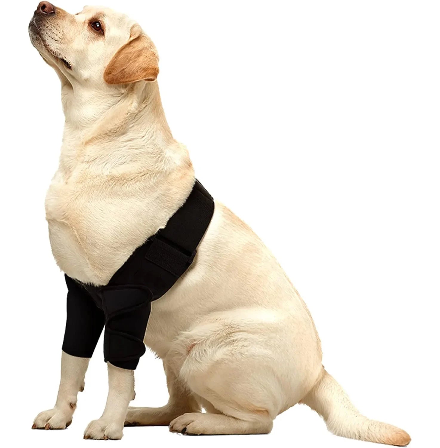 Dog Full Elbow Brace Protector For All Dog Breed,for Canine Elbow and Shoulder Elbow Hygroma, Front Leg Brace for Torn Ligaments