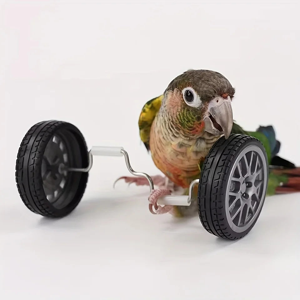 Mini Bird Bicycle – Balance and Intelligence Training for Parrots