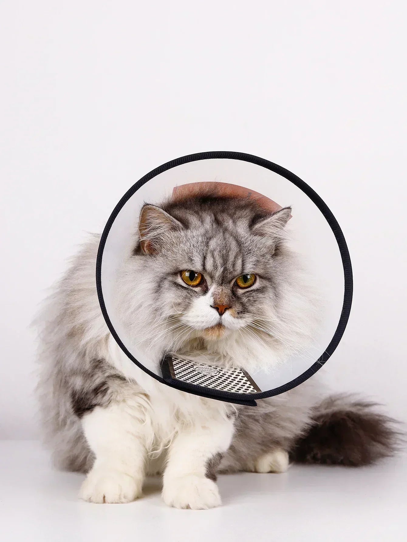 Protective collar - funnel for dogs and cats, post-surgery recovery