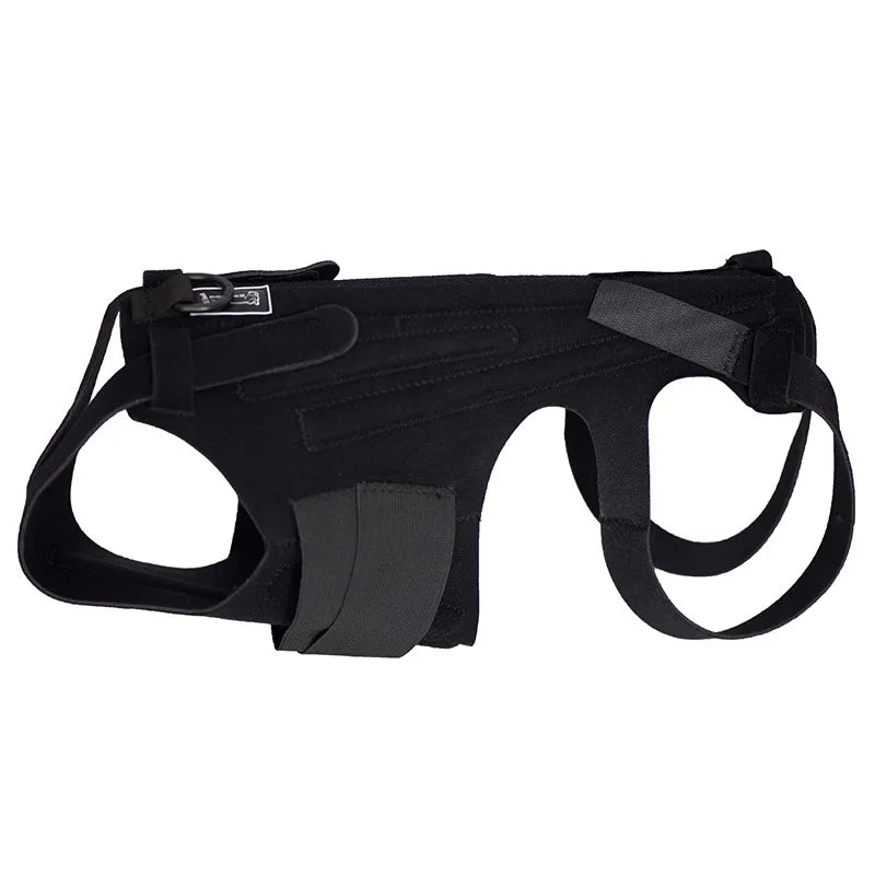 Breathable Dog Back Brace Comfortable Pet Back Bracer For IVDD Back Protector Helps Injury Recovery And Rehabilitation S/M/L